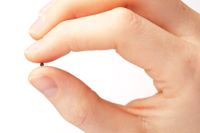 faith as a mustard seed